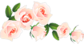 RR (145) (171x90, 25Kb)